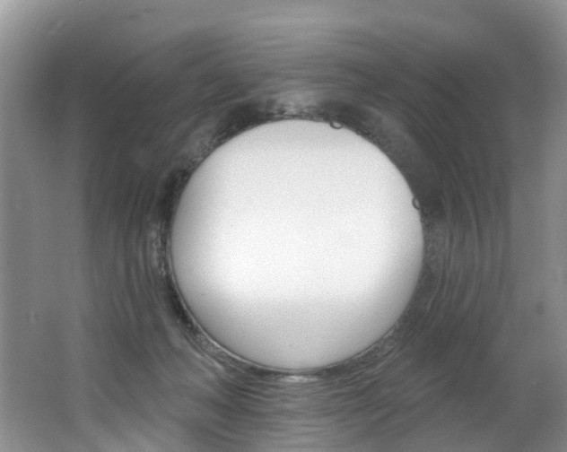 X0000062690222200512211141