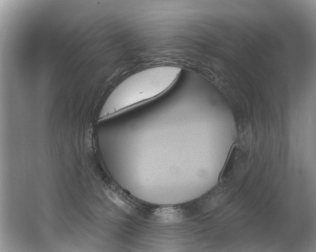 X0000062690231200512211141