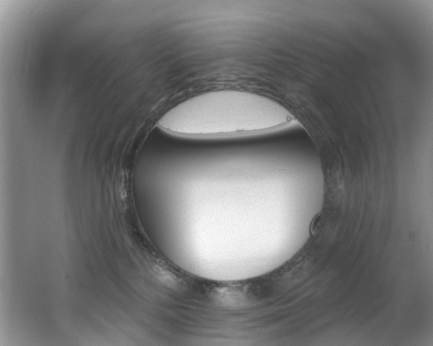 X0000062690232200512211141
