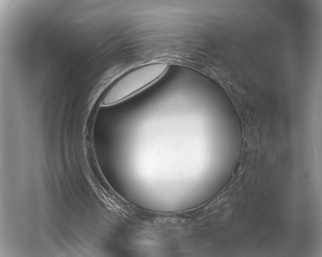 X0000062690242200512211140
