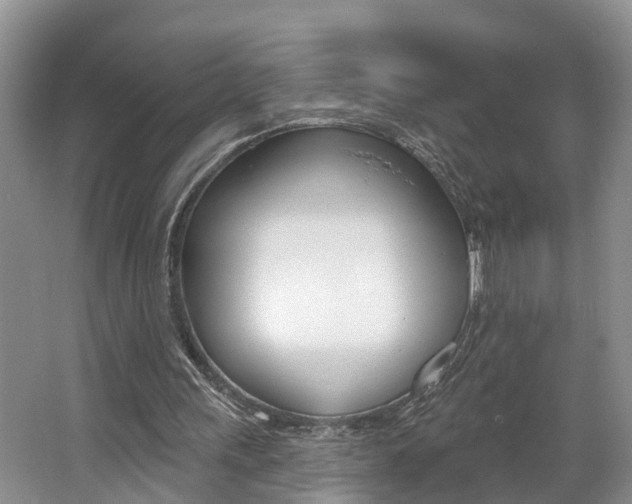 X0000062690243200512211140