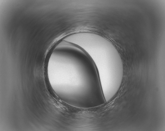 X0000062690244200512211140