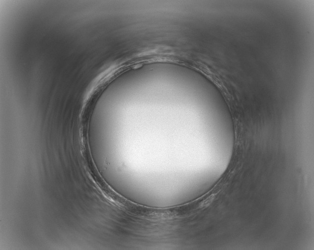 X0000062690245200512211140