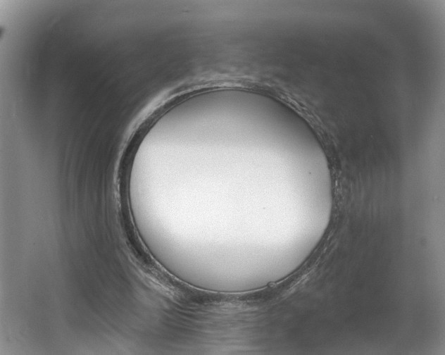 X0000062690246200512211140