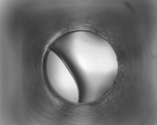 X0000062690248200512211140
