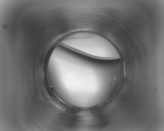 X0000062690252200512211140