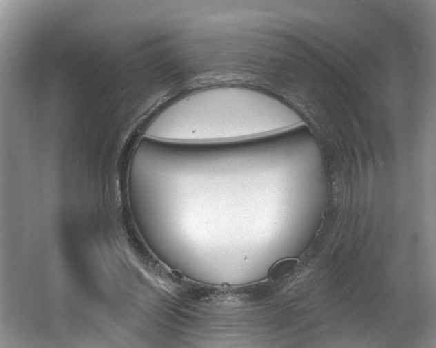 X0000062690254200512211140