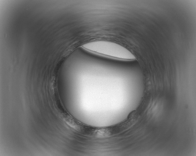 X0000062690275200512211140