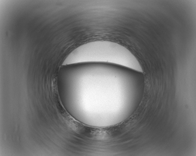 X0000062690276200512211140