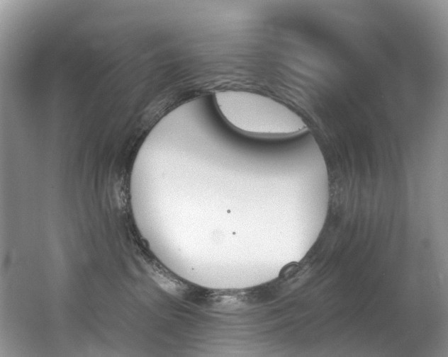 X0000062690285200512211141