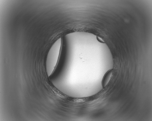 X0000062690287200512211141