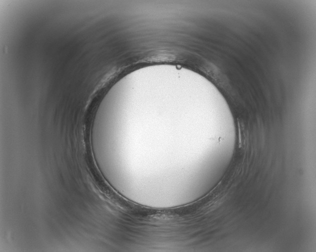X0000062690300200512211140
