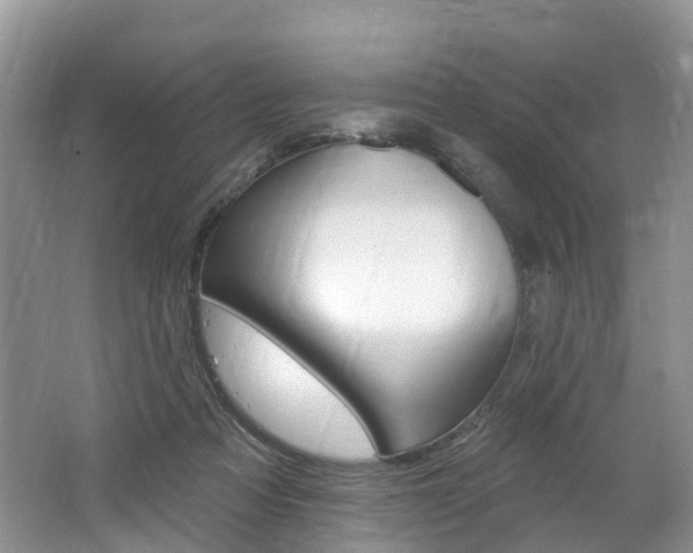 X0000062690313200512211139