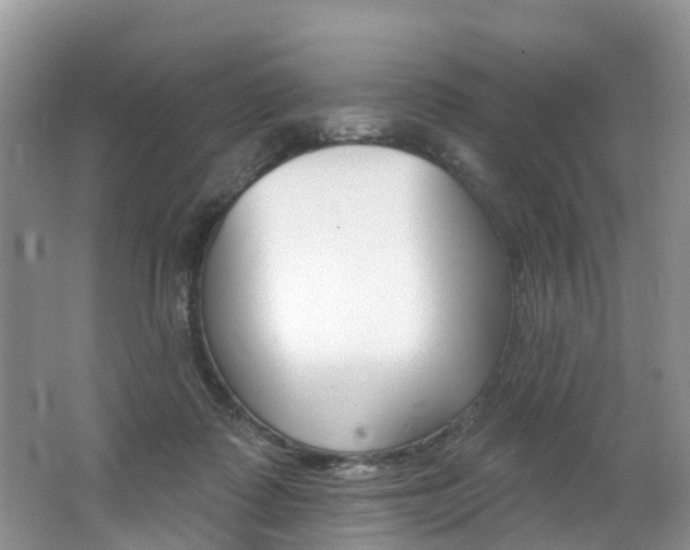 X0000062690315200512211139