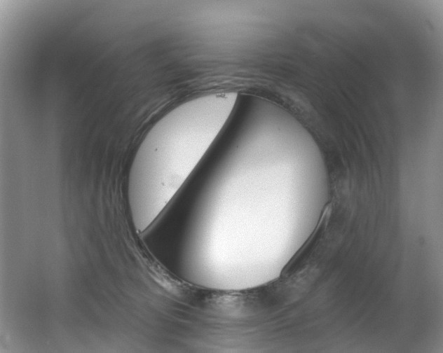 X0000062690325200512211139
