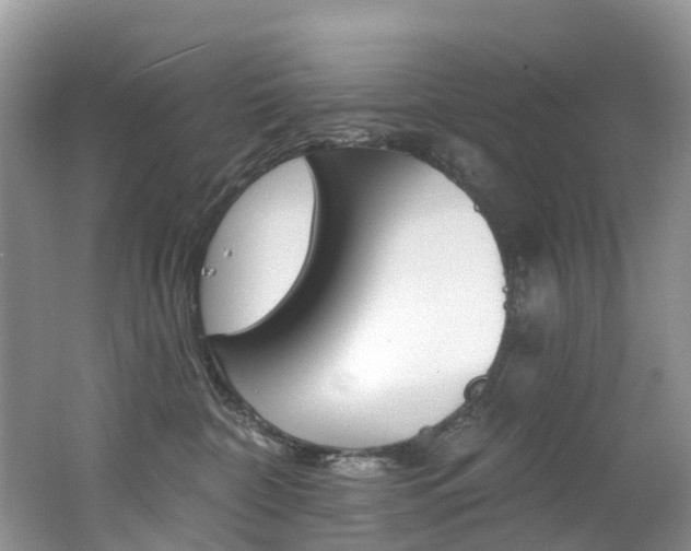 X0000062690332200512211139