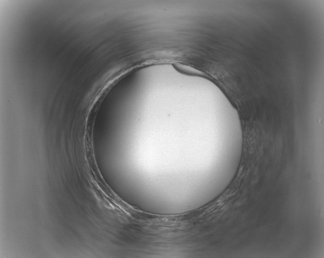 X0000062690338200512211138