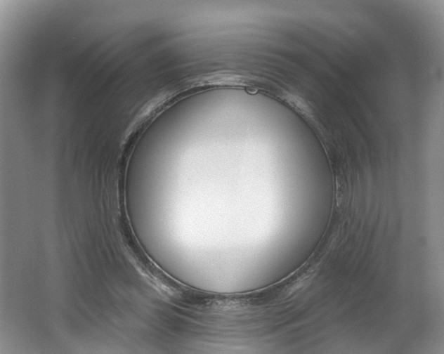 X0000062690349200512211138