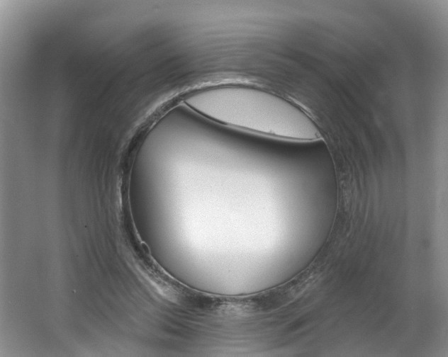 X0000062690350200512211138