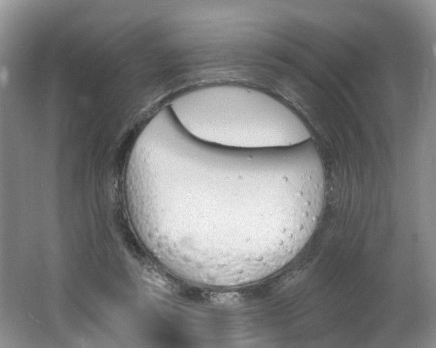 X0000062690355200512211138