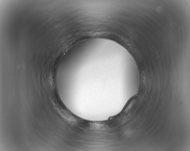 X0000062690380200512211139