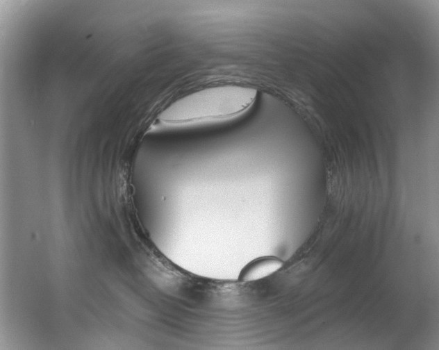 X0000062690382200512211139