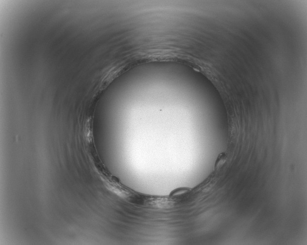 X0000062690383200512211139
