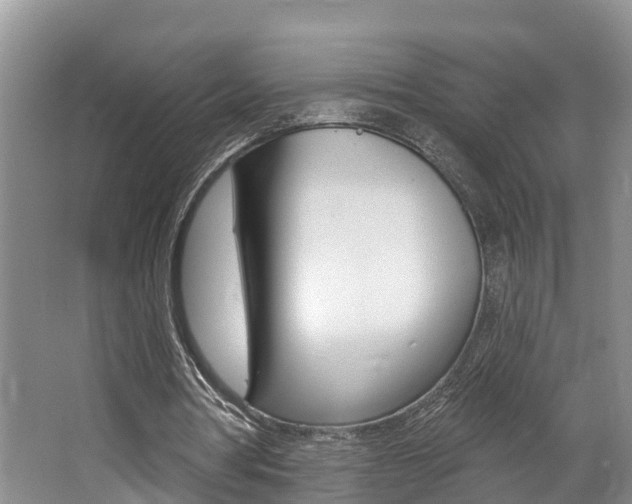 X0000062690386200512211138
