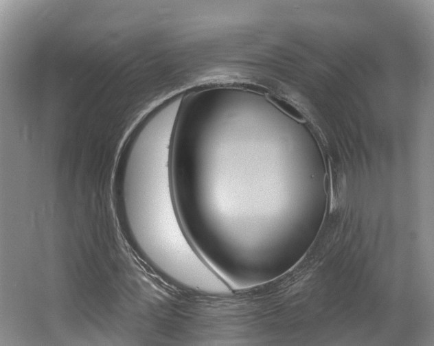 X0000062690387200512211138