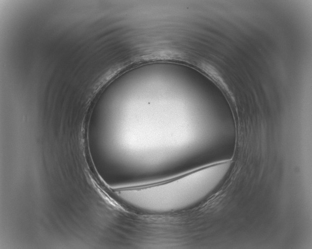 X0000062690389200512211138