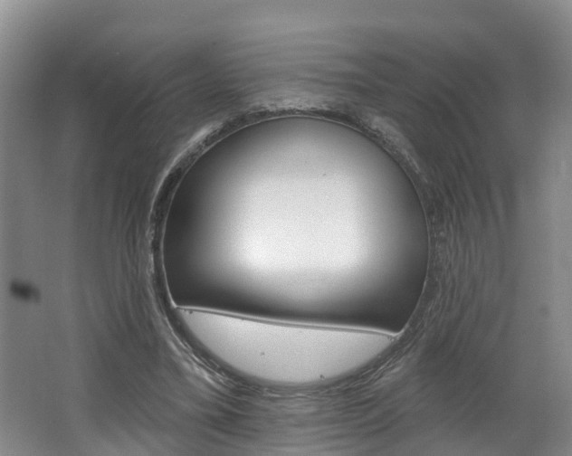 X0000062690395200512211138