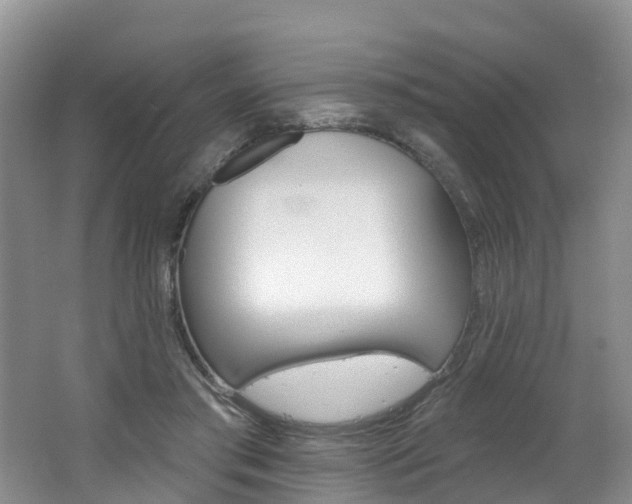 X0000062690405200512211138