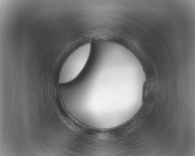 X0000062690408200512211138