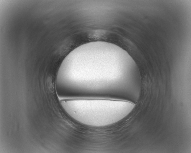 X0000062690420200512211137