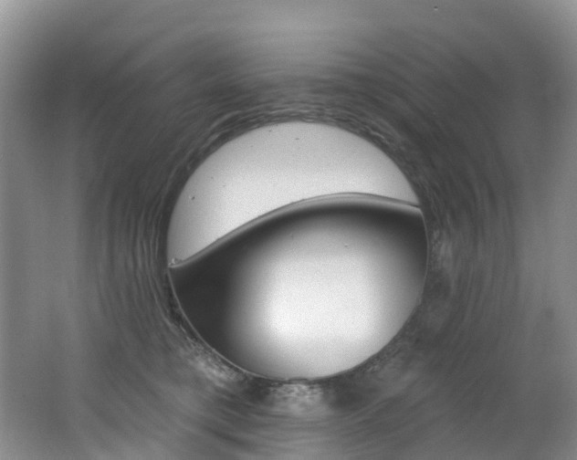 X0000062690421200512211137