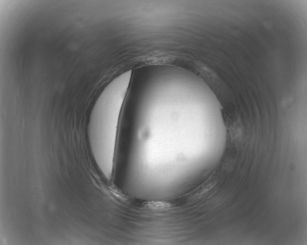 X0000062690429200512211137