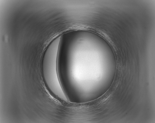 X0000062690433200512211136