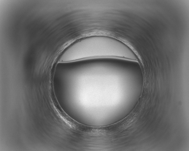 X0000062690437200512211137
