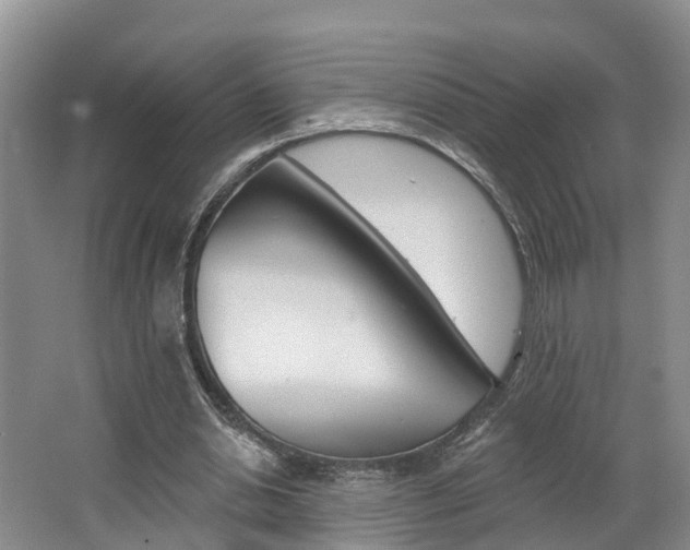 X0000062690438200512211137