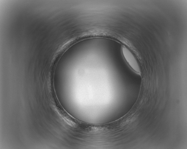 X0000062690442200512211137