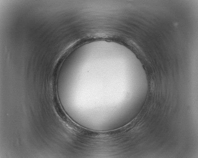 X0000062690444200512211137