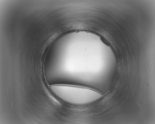 X0000062690445200512211137
