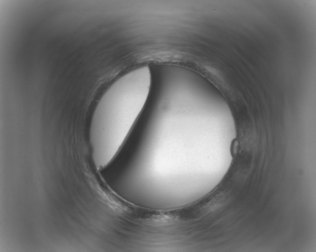 X0000062690453200512211137