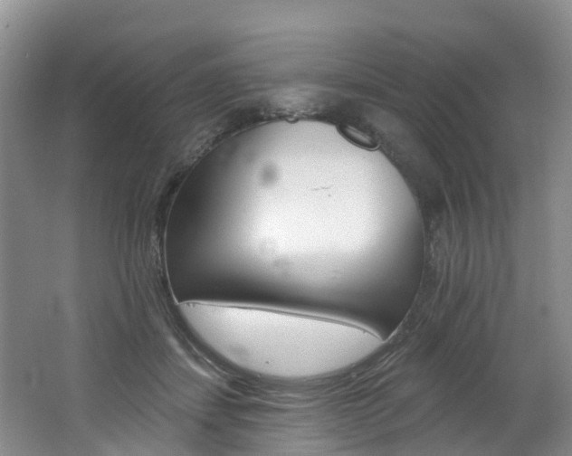 X0000062690459200512211137