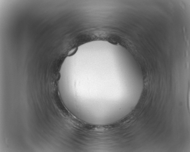 X0000062690464200512211137