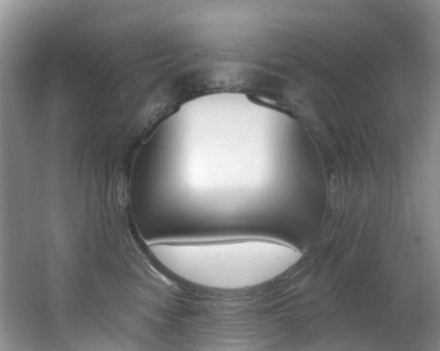 X0000062690474200512211137