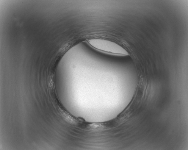 X0000062690477200512211137