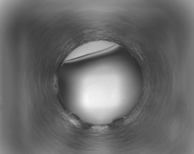 X0000062690480200512211137