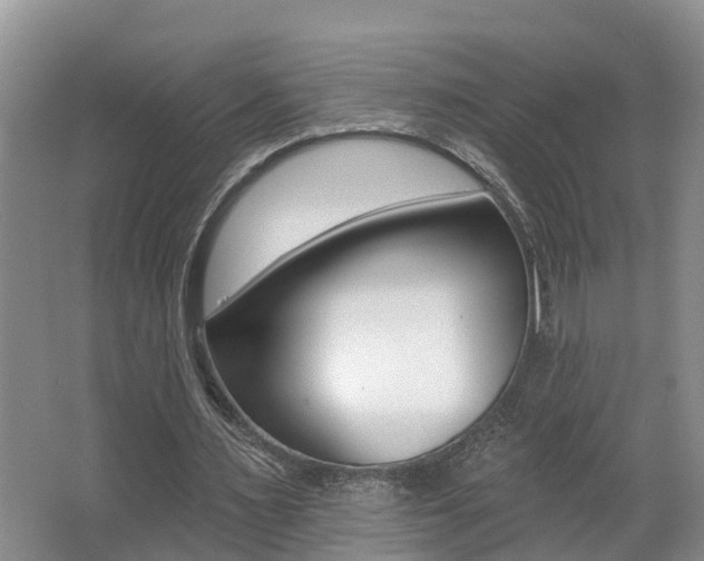X0000062690483200512211136