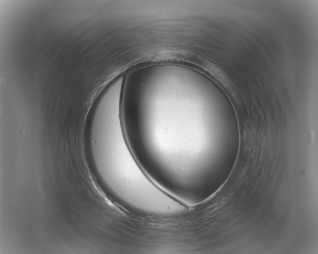 X0000062690485200512211136